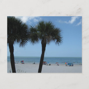 Postal de Madeira Beach Palms
