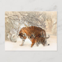 postal de madre tigre y bebé