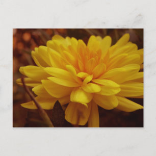 Postal de Mamá amarilla