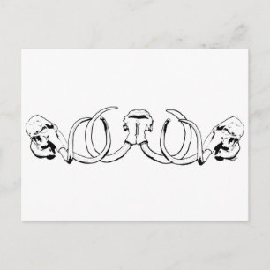 Postal de Mammoth Skull