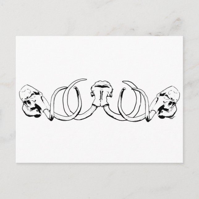 Postal de Mammoth Skull (Anverso)