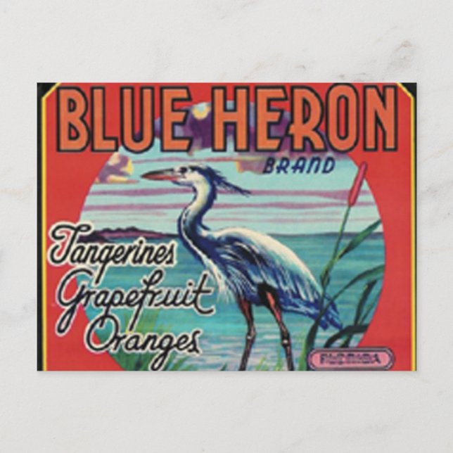 postal de marca de heron azul (Anverso)