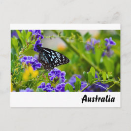 Postal de mariposa tigre azul