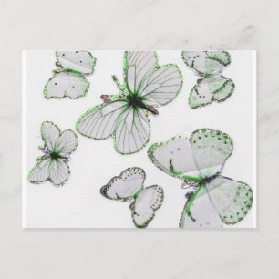 postal de mariposas