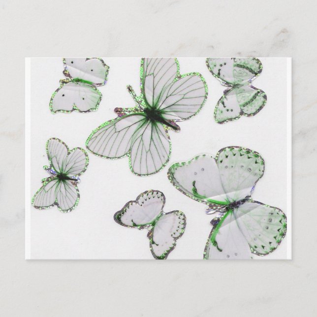 postal de mariposas (Anverso)