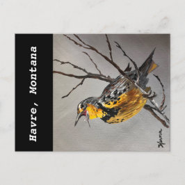Postal de Meadowlark