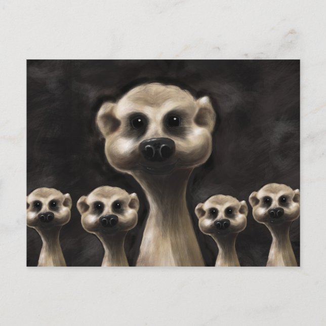 postal de Meerkat (Anverso)