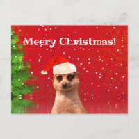 Postal de Meerkat Merry Christmas Funny Navidades