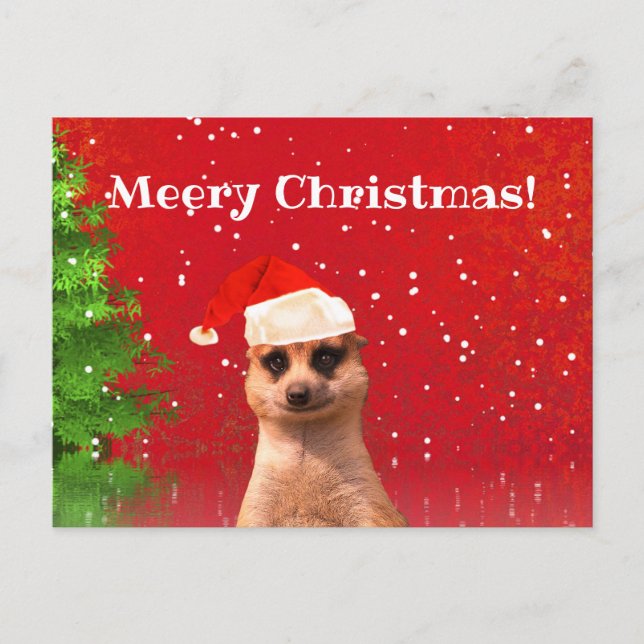 Postal de Meerkat Merry Christmas Funny Navidades (Anverso)
