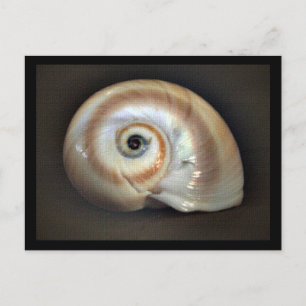 Postal de memoria de playa