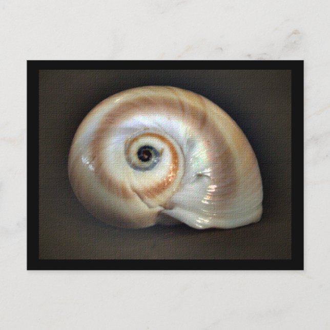 Postal de memoria de playa (Anverso)