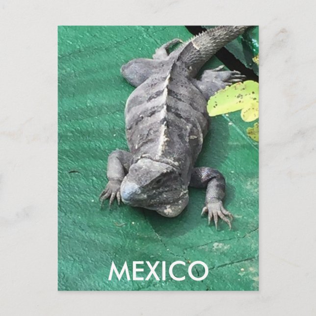 Postal de México (Anverso)