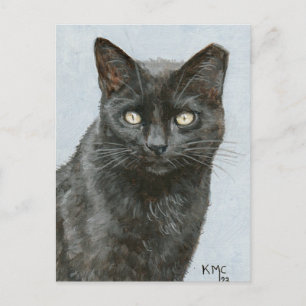 Postal de mi pintura de un gato negro