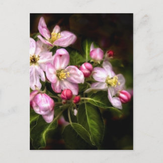 Postal de Michigan Blooms