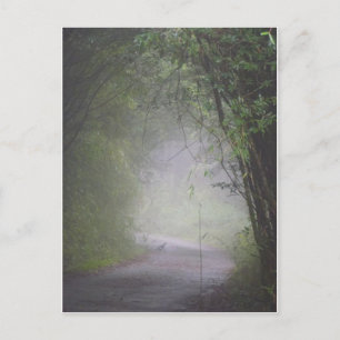 Postal de Mikado pheasant