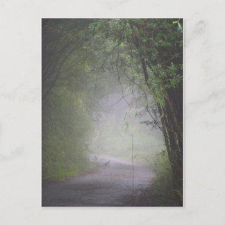 Postal de Mikado pheasant