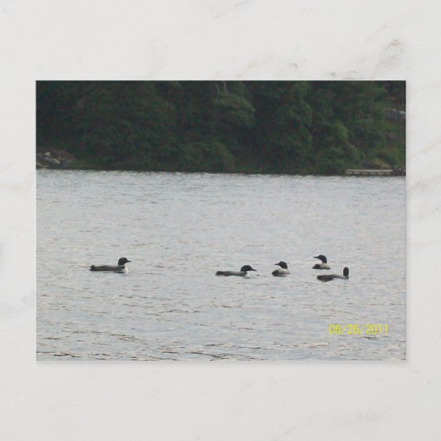 Postal de Minnesota (Anverso)