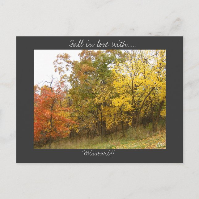 Postal de Missouri (Anverso)