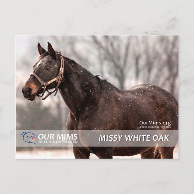Postal de Missy White Oak (Anverso)