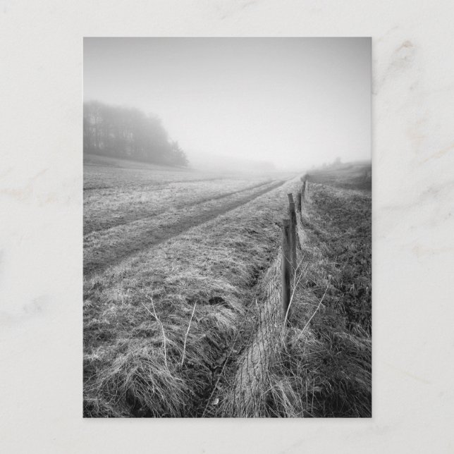 Postal de Misty Wiltshire Field (Anverso)