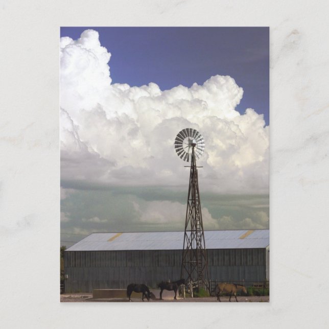 Postal de molino de viento (Anverso)
