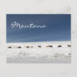 Postal de Montana