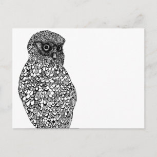 Postal de Morepork