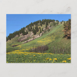 Postal de Mount Otis