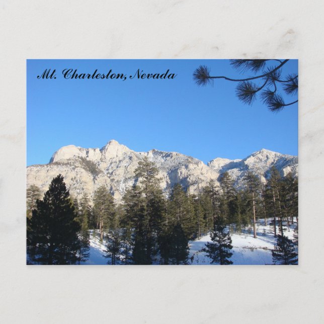 Postal de Mt Charleston (Anverso)