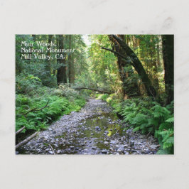Postal de Muir Woods