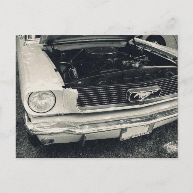 postal de Mustang (Anverso)