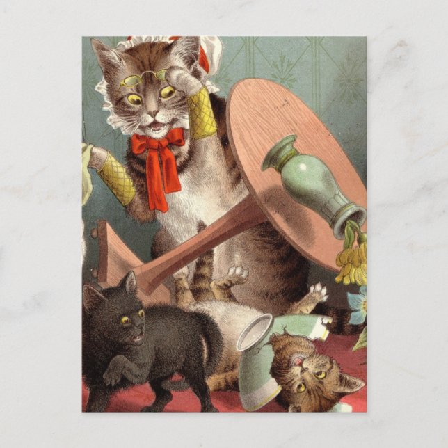 Postal de Naghty Cats (Anverso)