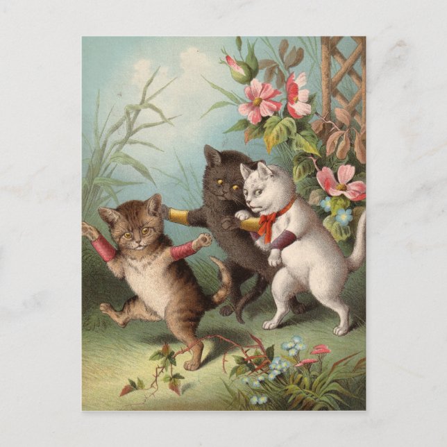 Postal de Naghty Cats (Anverso)