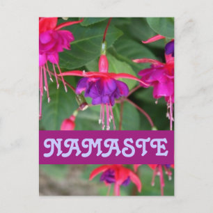 postal de NAMASTE Fuschia