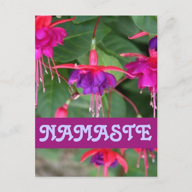 postal de NAMASTE Fuschia (Anverso)