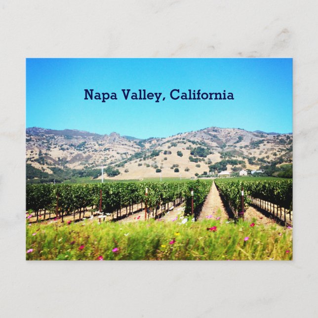 Postal de Napa Valley, California (Anverso)