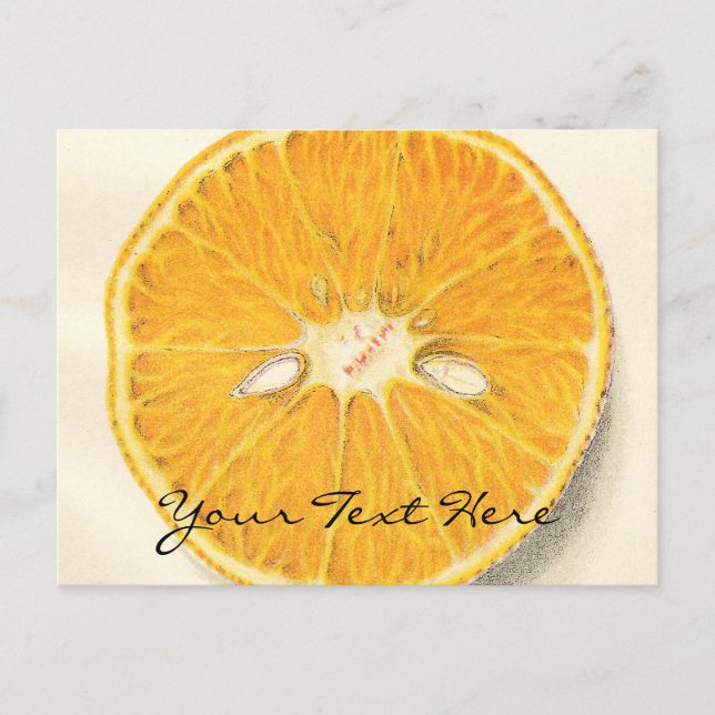 Postal de Naranja Vintage (Anverso)