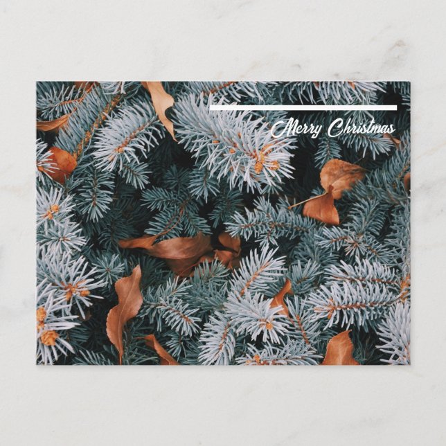 Postal de navidades (Anverso)