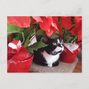 postal de navidades