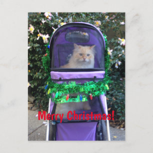 postal de navidades