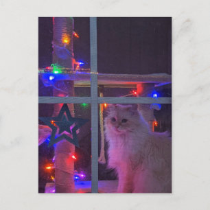 Postal de navidades