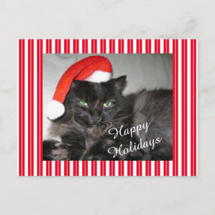 postal de Navidades a rayas de Santa Cat
