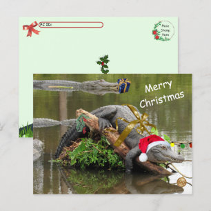 Postal de Navidades de caimanes norteamericanos de