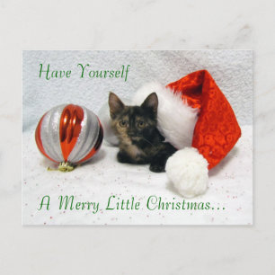 Postal de Navidades de Holley - Gato / Gatito
