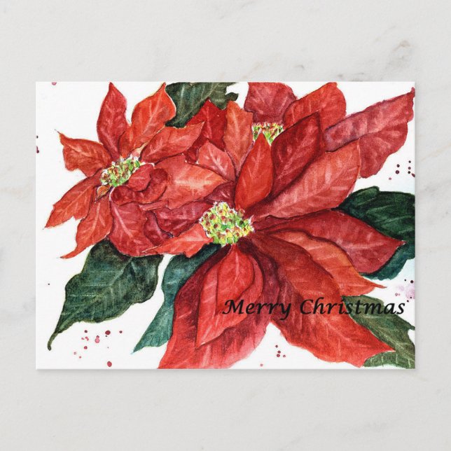 Postal de Navidades de Poinsettia (Anverso)