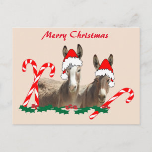 postal de navidades, vida salvaje, postal de burro