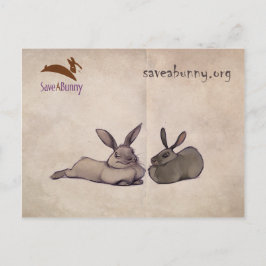 postal de Nellie y Nesbit