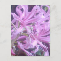 Postal de nervios rosados