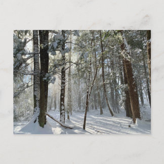 Postal de Nieve Saco Health Preserve