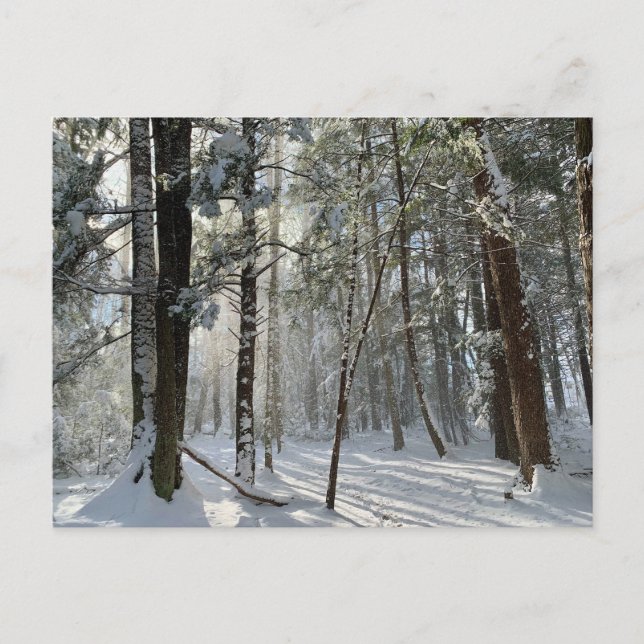 Postal de Nieve Saco Health Preserve (Anverso)